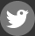 Follow Us On Twitter